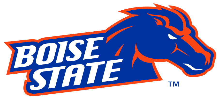 Boise State Broncos 2012-2013 Secondary Logo diy iron on heat transfer